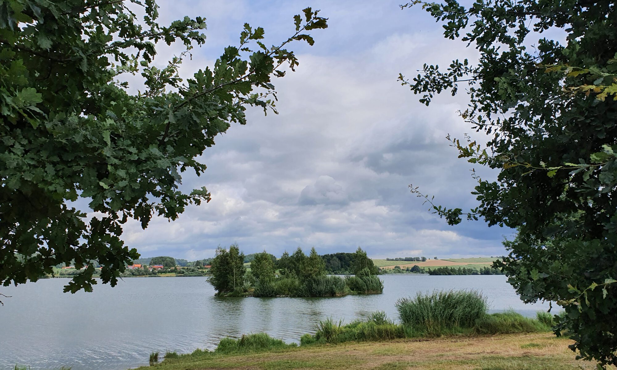 drachensee angeln